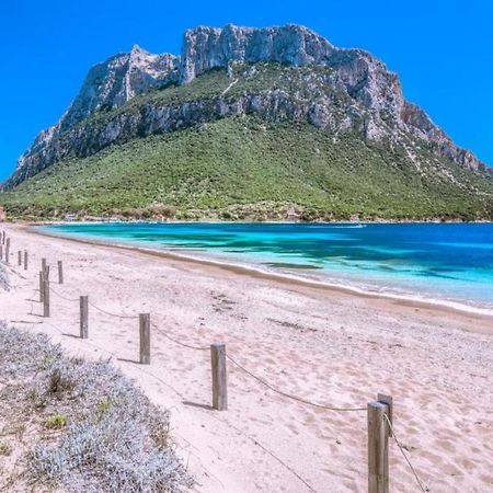 Casa Di Maria - La Pineta Villa Порто Сан Паоло Екстериор снимка